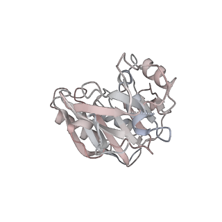 0441_6nd4_d_v2-1
Conformational switches control early maturation of the eukaryotic small ribosomal subunit