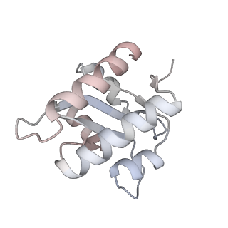 0441_6nd4_f_v2-1
Conformational switches control early maturation of the eukaryotic small ribosomal subunit