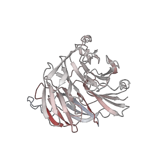 0441_6nd4_g_v2-1
Conformational switches control early maturation of the eukaryotic small ribosomal subunit