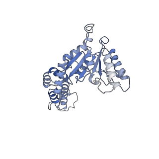 0443_6ndy_A_v1-2
Vps4 with Cyclic Peptide Bound in the Central Pore