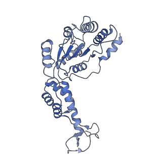 0443_6ndy_B_v1-2
Vps4 with Cyclic Peptide Bound in the Central Pore