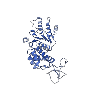 0443_6ndy_C_v1-2
Vps4 with Cyclic Peptide Bound in the Central Pore