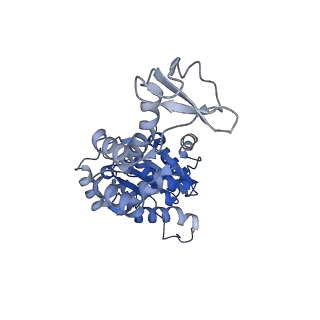 0443_6ndy_D_v1-2
Vps4 with Cyclic Peptide Bound in the Central Pore