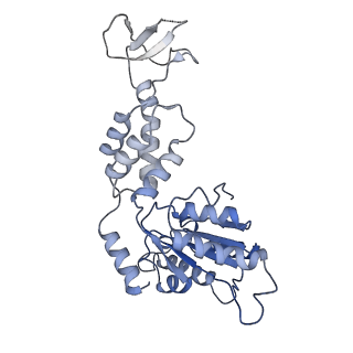 0443_6ndy_E_v1-2
Vps4 with Cyclic Peptide Bound in the Central Pore