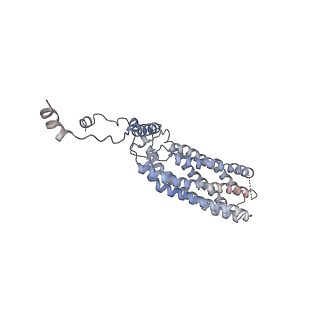 12273_7nd2_A_v1-1
Cryo-EM structure of the human FERRY complex