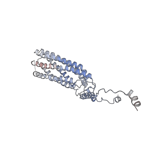 12273_7nd2_B_v1-1
Cryo-EM structure of the human FERRY complex