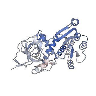 12273_7nd2_C_v1-1
Cryo-EM structure of the human FERRY complex