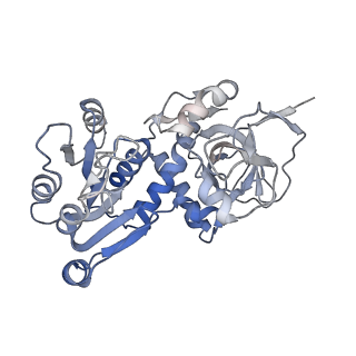 12273_7nd2_D_v1-1
Cryo-EM structure of the human FERRY complex