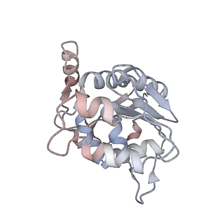 12273_7nd2_E_v1-1
Cryo-EM structure of the human FERRY complex