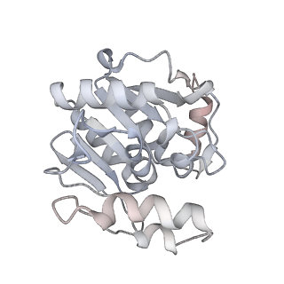 12273_7nd2_F_v1-1
Cryo-EM structure of the human FERRY complex