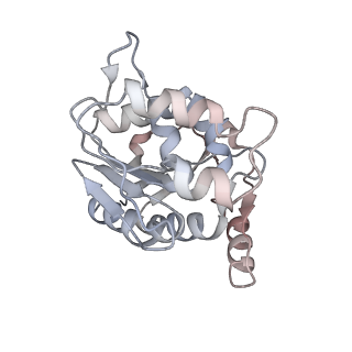 12273_7nd2_G_v1-1
Cryo-EM structure of the human FERRY complex