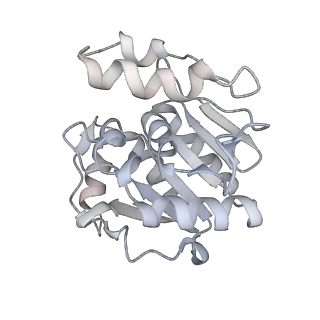12273_7nd2_H_v1-1
Cryo-EM structure of the human FERRY complex