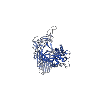 12274_7nd3_C_v1-3
EM structure of SARS-CoV-2 Spike glycoprotein in complex with COVOX-40 Fab