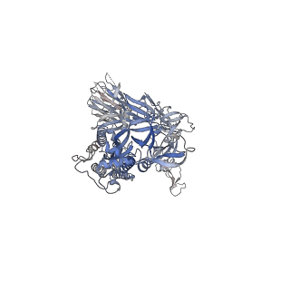12276_7nd5_A_v1-2
EM structure of SARS-CoV-2 Spike glycoprotein in complex with COVOX-150 Fab