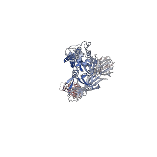 12276_7nd5_B_v1-2
EM structure of SARS-CoV-2 Spike glycoprotein in complex with COVOX-150 Fab