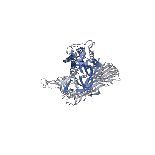 12278_7nd7_A_v1-2
EM structure of SARS-CoV-2 Spike glycoprotein in complex with COVOX-316 Fab