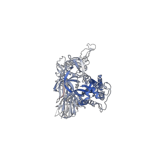 12278_7nd7_B_v1-2
EM structure of SARS-CoV-2 Spike glycoprotein in complex with COVOX-316 Fab