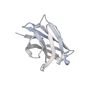 12278_7nd7_J_v1-2
EM structure of SARS-CoV-2 Spike glycoprotein in complex with COVOX-316 Fab