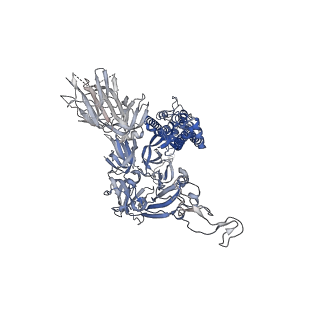 12279_7nd8_A_v1-2
EM structure of SARS-CoV-2 Spike glycoprotein in complex with COVOX-384 Fab