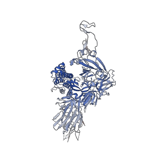 12279_7nd8_B_v1-2
EM structure of SARS-CoV-2 Spike glycoprotein in complex with COVOX-384 Fab