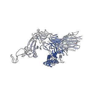 12279_7nd8_C_v1-2
EM structure of SARS-CoV-2 Spike glycoprotein in complex with COVOX-384 Fab