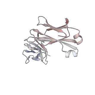 12279_7nd8_L_v1-2
EM structure of SARS-CoV-2 Spike glycoprotein in complex with COVOX-384 Fab