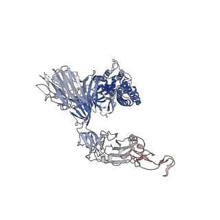 12281_7nda_B_v1-2
EM structure of SARS-CoV-2 Spike glycoprotein (all RBD down) in complex with COVOX-253H55L Fab