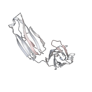 12281_7nda_H_v1-2
EM structure of SARS-CoV-2 Spike glycoprotein (all RBD down) in complex with COVOX-253H55L Fab