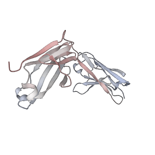 12281_7nda_L_v1-2
EM structure of SARS-CoV-2 Spike glycoprotein (all RBD down) in complex with COVOX-253H55L Fab