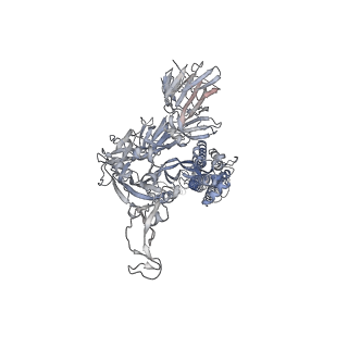12282_7ndb_A_v1-2
EM structure of SARS-CoV-2 Spike glycoprotein in complex with COVOX-253H165L Fab