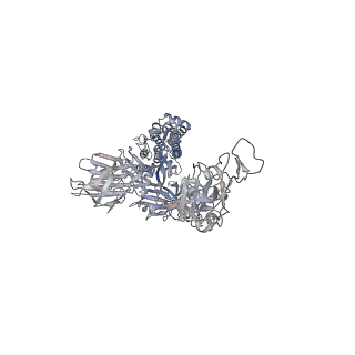 12282_7ndb_B_v1-2
EM structure of SARS-CoV-2 Spike glycoprotein in complex with COVOX-253H165L Fab