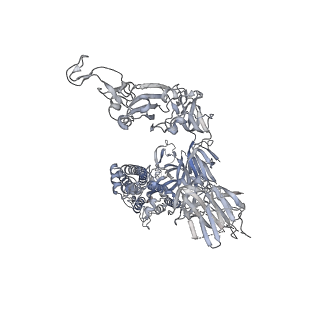 12282_7ndb_C_v1-2
EM structure of SARS-CoV-2 Spike glycoprotein in complex with COVOX-253H165L Fab