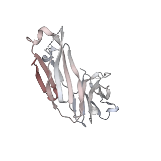 12282_7ndb_H_v1-2
EM structure of SARS-CoV-2 Spike glycoprotein in complex with COVOX-253H165L Fab