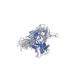 12283_7ndc_A_v1-2
EM structure of SARS-CoV-2 Spike glycoprotein (all RBD down) in complex with COVOX-159