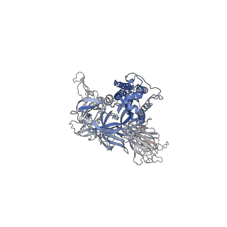 12283_7ndc_C_v1-2
EM structure of SARS-CoV-2 Spike glycoprotein (all RBD down) in complex with COVOX-159