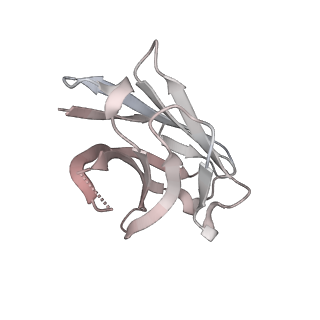 12283_7ndc_D_v1-2
EM structure of SARS-CoV-2 Spike glycoprotein (all RBD down) in complex with COVOX-159