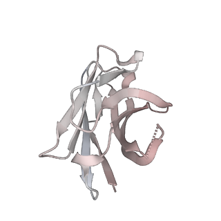 12283_7ndc_H_v1-2
EM structure of SARS-CoV-2 Spike glycoprotein (all RBD down) in complex with COVOX-159