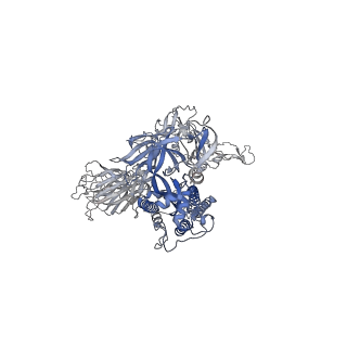 12284_7ndd_A_v1-2
EM structure of SARS-CoV-2 Spike glycoprotein (one RBD up) in complex with COVOX-159