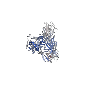 12284_7ndd_B_v1-2
EM structure of SARS-CoV-2 Spike glycoprotein (one RBD up) in complex with COVOX-159