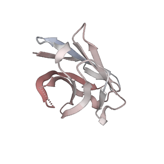 12284_7ndd_D_v1-2
EM structure of SARS-CoV-2 Spike glycoprotein (one RBD up) in complex with COVOX-159