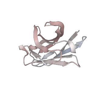 12284_7ndd_F_v1-2
EM structure of SARS-CoV-2 Spike glycoprotein (one RBD up) in complex with COVOX-159