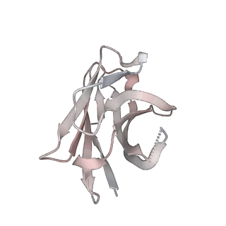 12284_7ndd_H_v1-2
EM structure of SARS-CoV-2 Spike glycoprotein (one RBD up) in complex with COVOX-159