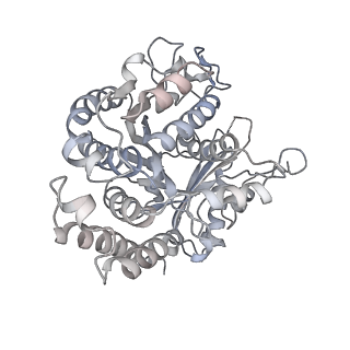 3622_5nd4_B_v1-0
Microtubule-bound MKLP2 motor domain in the presence of ADP.AlFx