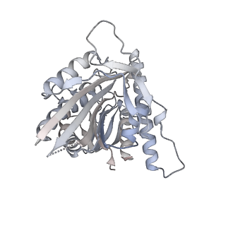 3622_5nd4_C_v1-0
Microtubule-bound MKLP2 motor domain in the presence of ADP.AlFx