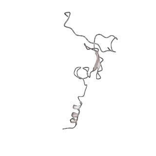 3624_5nd8_3_v1-6
Hibernating ribosome from Staphylococcus aureus (Unrotated state)
