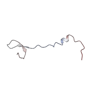 3624_5nd8_4_v1-6
Hibernating ribosome from Staphylococcus aureus (Unrotated state)