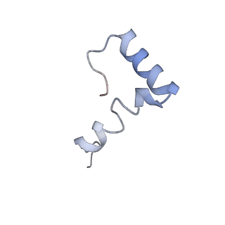 3624_5nd8_6_v1-6
Hibernating ribosome from Staphylococcus aureus (Unrotated state)