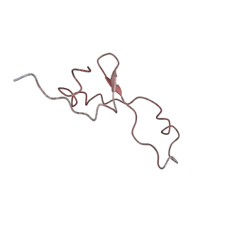 3624_5nd8_7_v1-6
Hibernating ribosome from Staphylococcus aureus (Unrotated state)