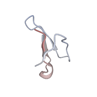 3624_5nd8_8_v1-6
Hibernating ribosome from Staphylococcus aureus (Unrotated state)