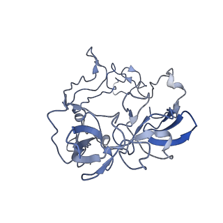 3624_5nd8_D_v1-6
Hibernating ribosome from Staphylococcus aureus (Unrotated state)